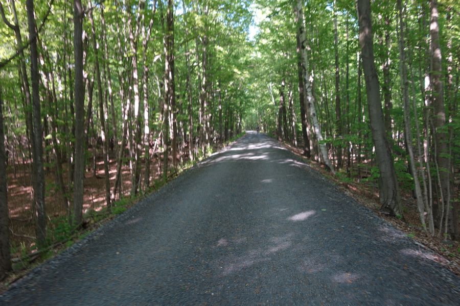 Ashokan Rail Trail surface and woods