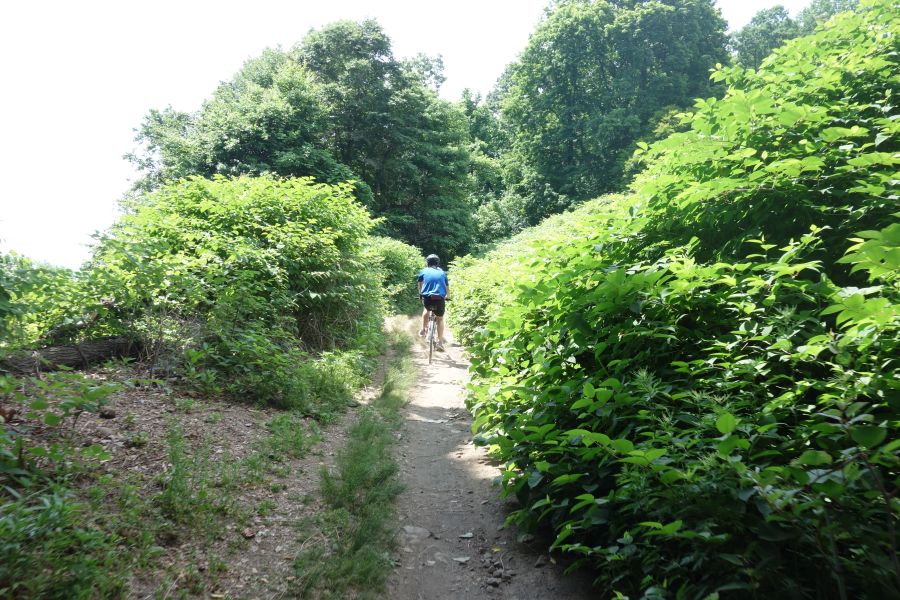 Esposito Trail narrow section