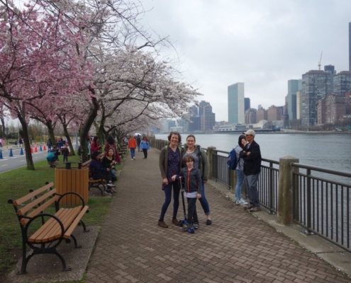Roosevelt Island Cherry Blossoms